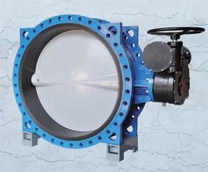 ���Ϳڏ����y